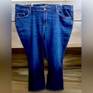 Brand: Universal Thread , Size: 24W